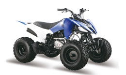 Квадроцикл ATV Pantera 150 CVT
