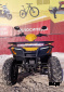 Квадроцикл IRBIS ATV 250 XE (X-MOTORS EDITION)