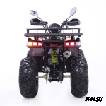 Квадроцикл YACOTA WARRIOR 200 PRO